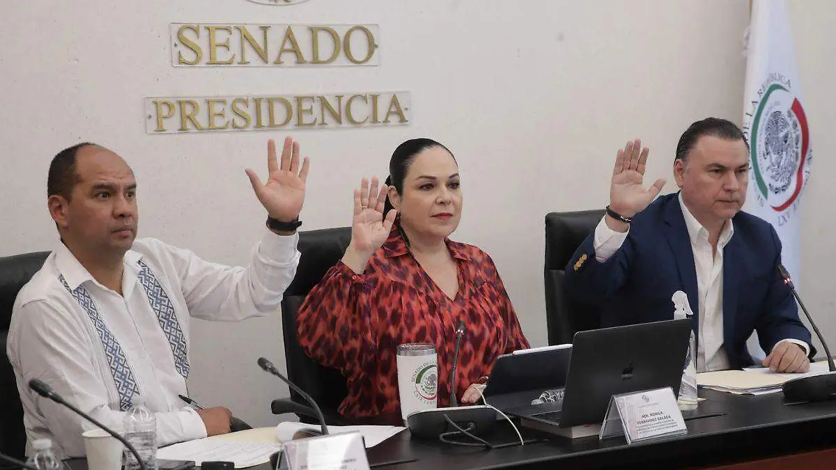 Comisión Permanente rechaza periodo extraordinario para nombrar comisionados del INAI